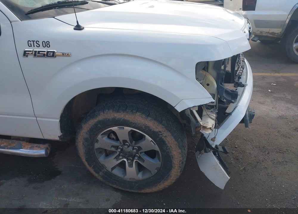 2014 FORD F-150 VIN: 1FTEX1CM5EFC95493