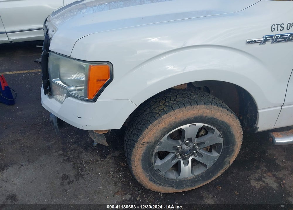 2014 FORD F-150 VIN: 1FTEX1CM5EFC95493