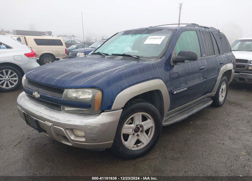 2002 CHEVROLET TRAILBLAZER LTZ VIN: 1GNDT13S622289864