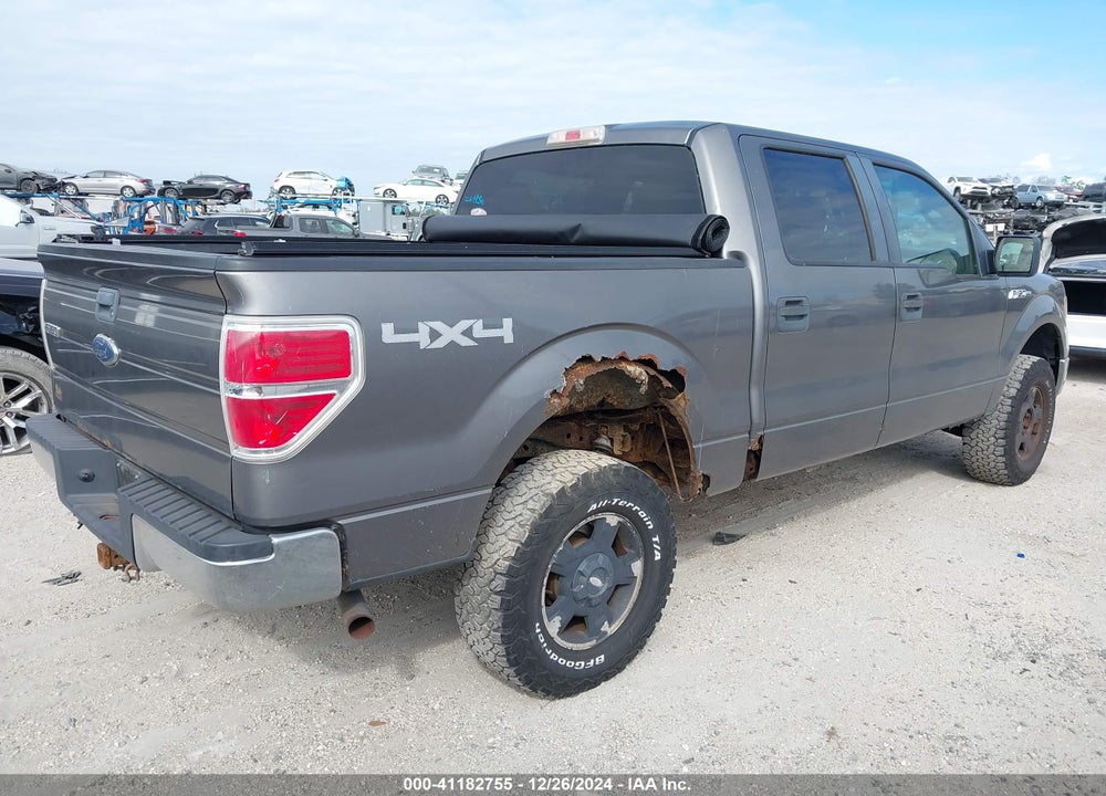 2010 FORD F-150 VIN: 1FTEW1E87AFB31174