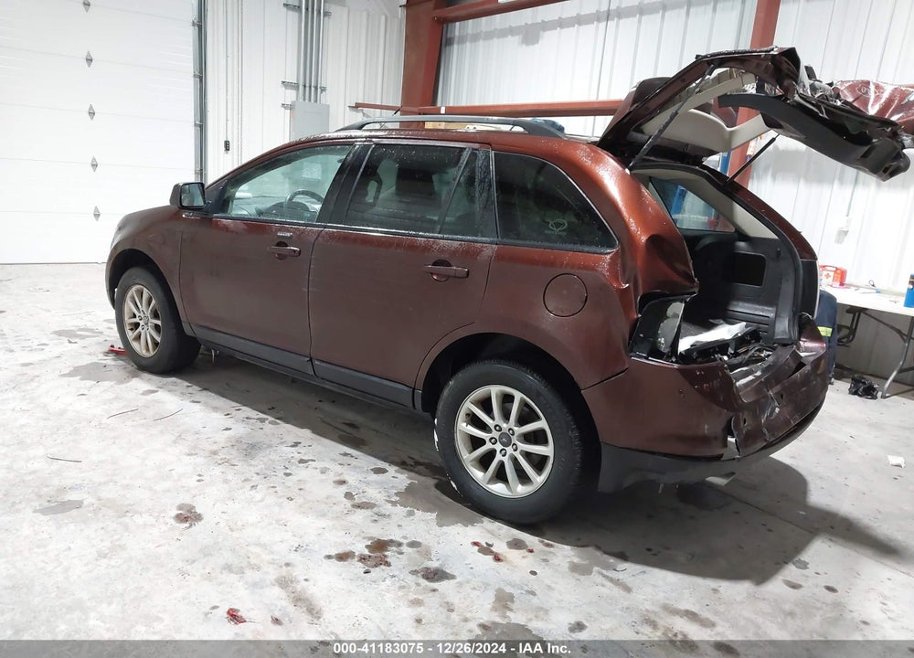 2009 FORD EDGE SEL VIN: 2FMDK48C89BA56731