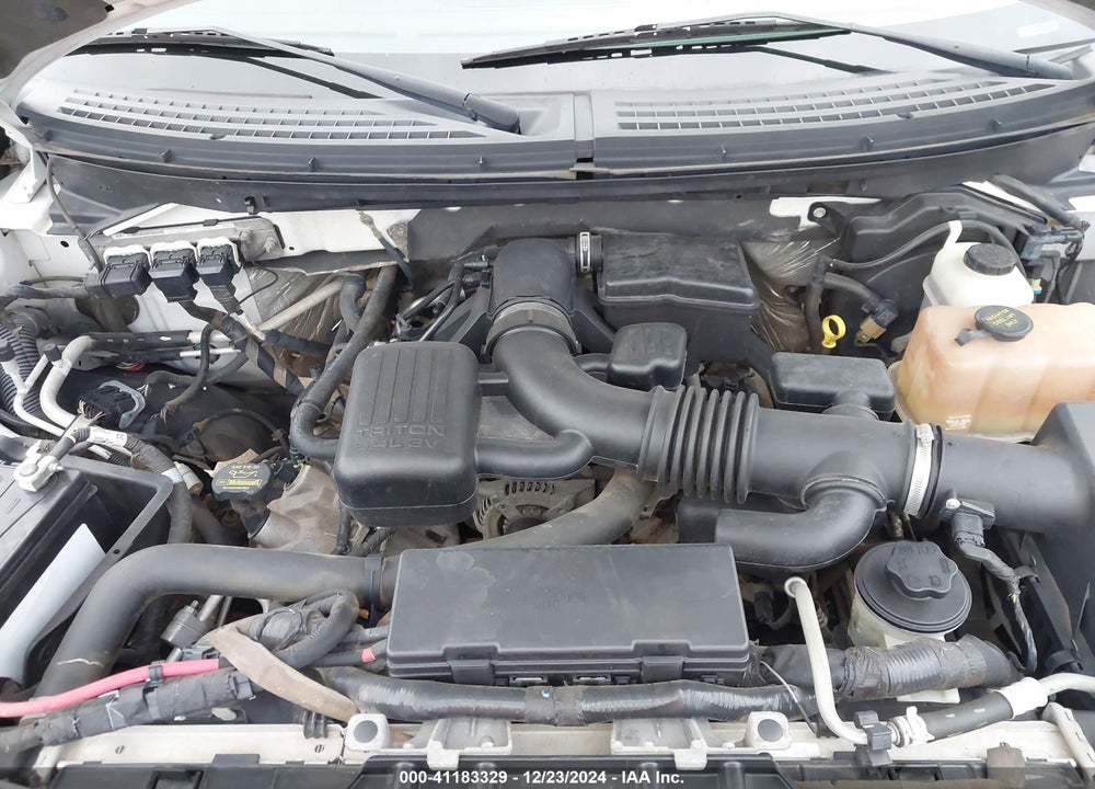 2010 FORD F-150 VIN: 1FTFW1EV3AFA02603