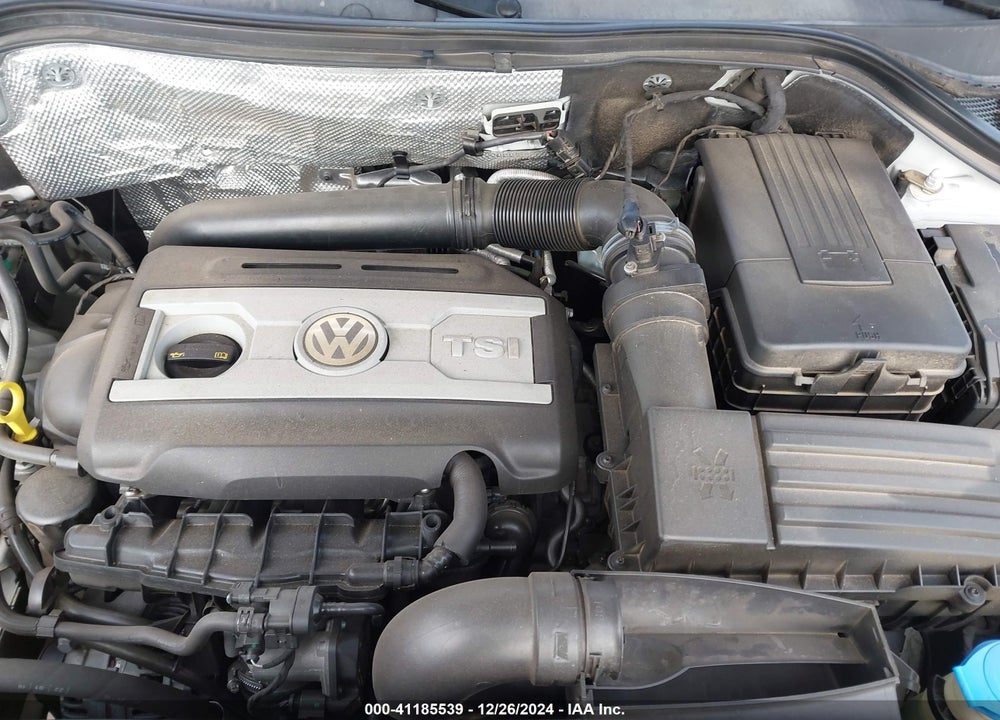 2016 VOLKSWAGEN TIGUAN S VIN: WVGAV7AX1GW601916
