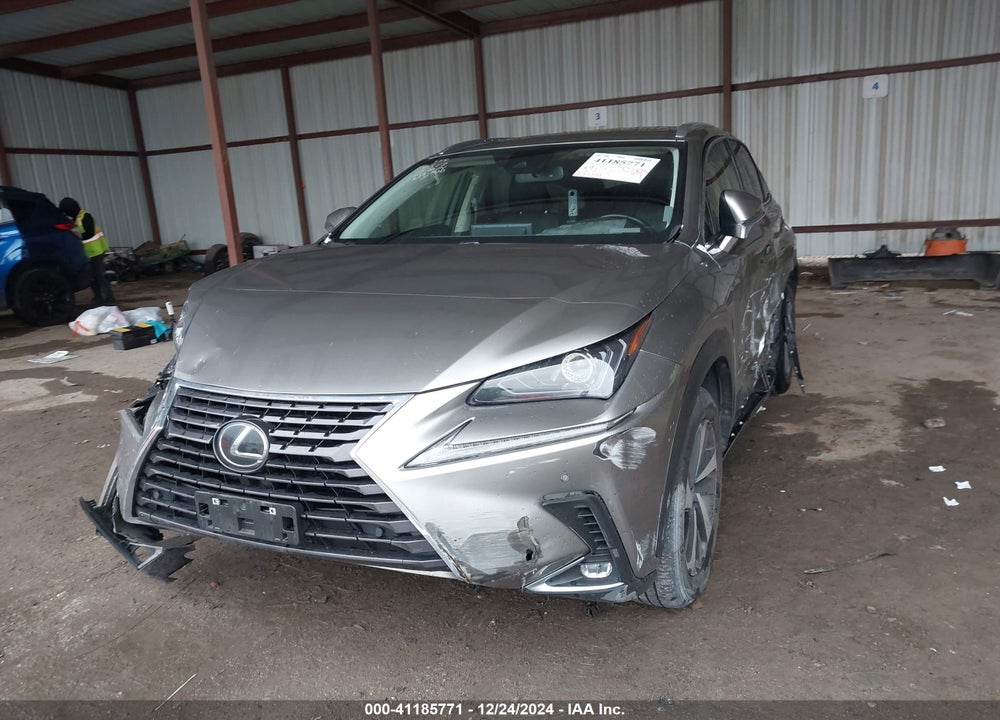 2020 LEXUS NX 300 VIN: JTJGARBZ6L2162328