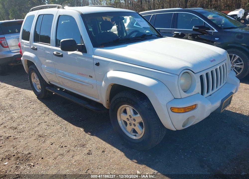 2002 JEEP LIBERTY LIMITED EDITION VIN: 1J8GL58K42W161002