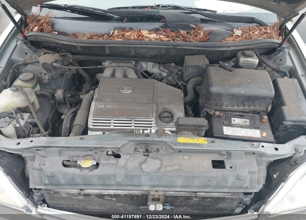2001 LEXUS RX 300 VIN: JTJHF10U810173094