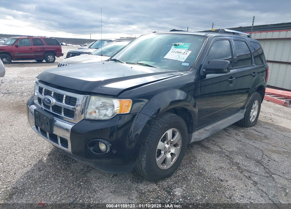 2010 FORD ESCAPE LIMITED VIN: 1FMCU0EG9AKC46750
