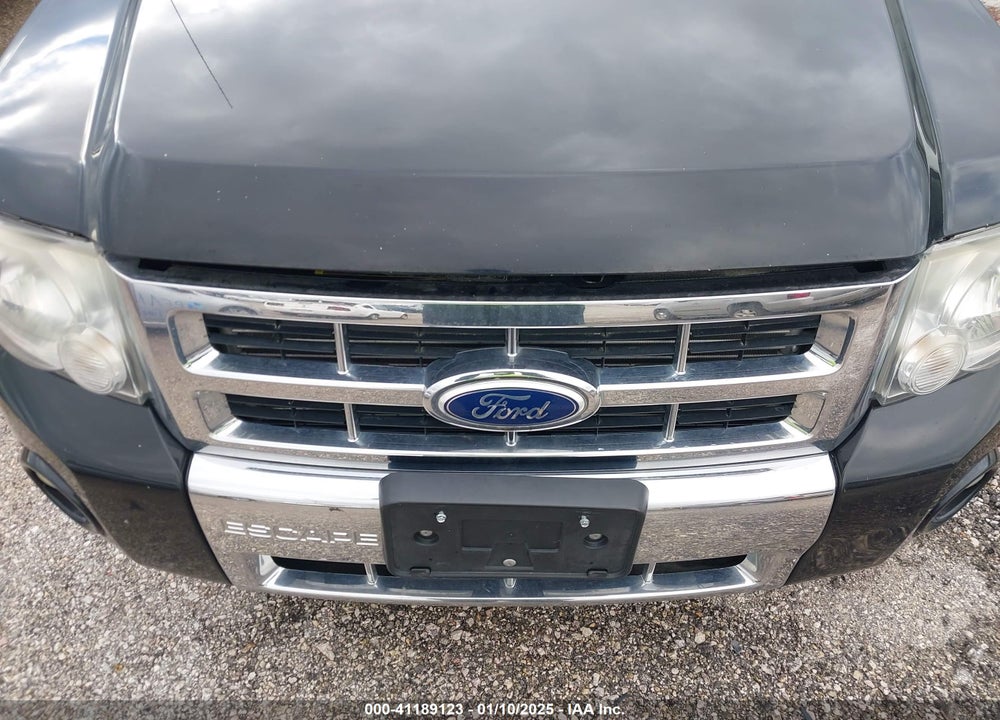 2010 FORD ESCAPE LIMITED VIN: 1FMCU0EG9AKC46750