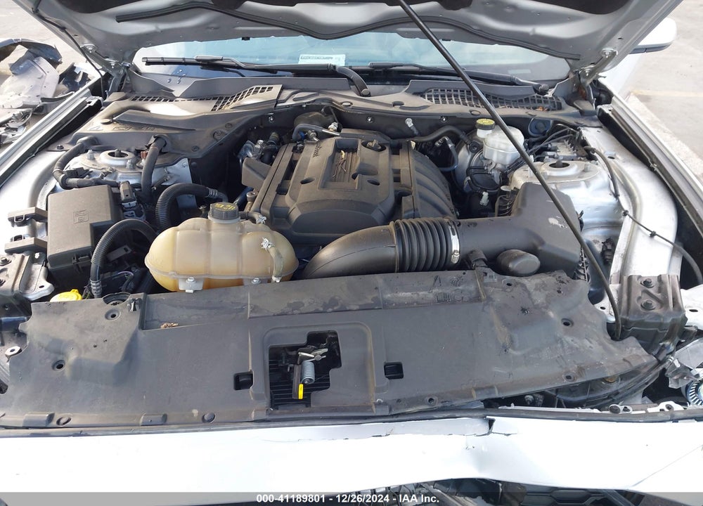 2019 FORD MUSTANG ECOBOOST VIN: 1FA6P8THXK5169086