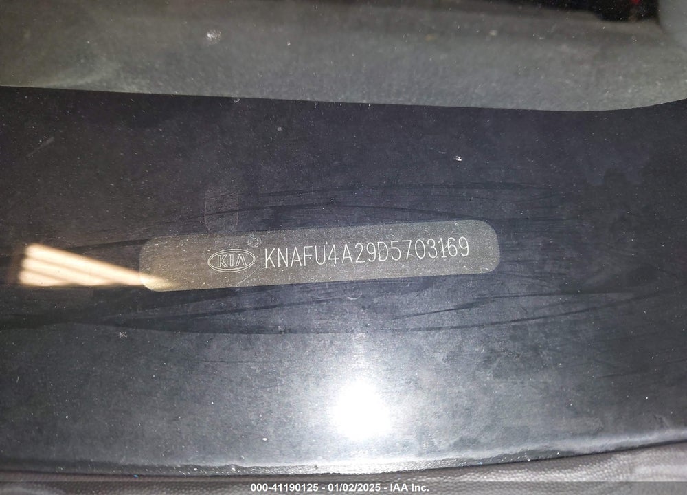 2013 KIA FORTE VIN: KNAFU4A29D5703169