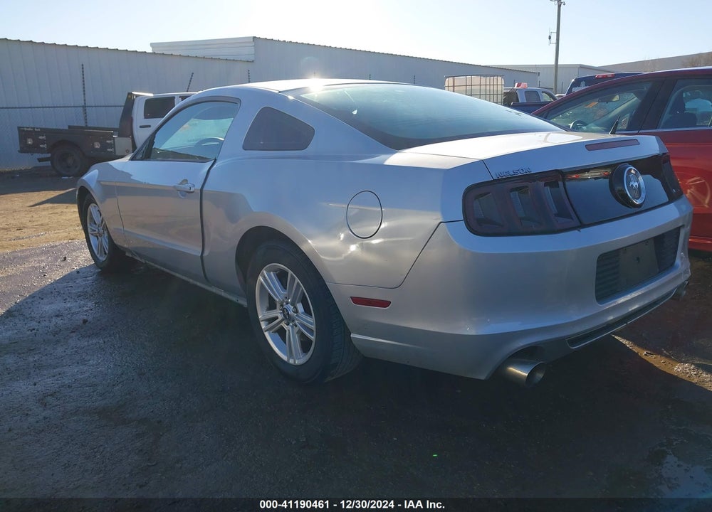 2014 FORD MUSTANG VIN: 1ZVBP8AM6E5305496
