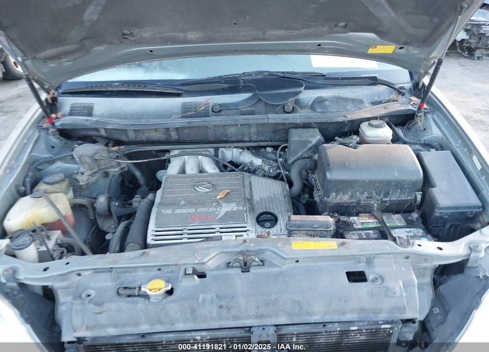 2002 LEXUS RX 300 VIN: JTJGF10U520143256