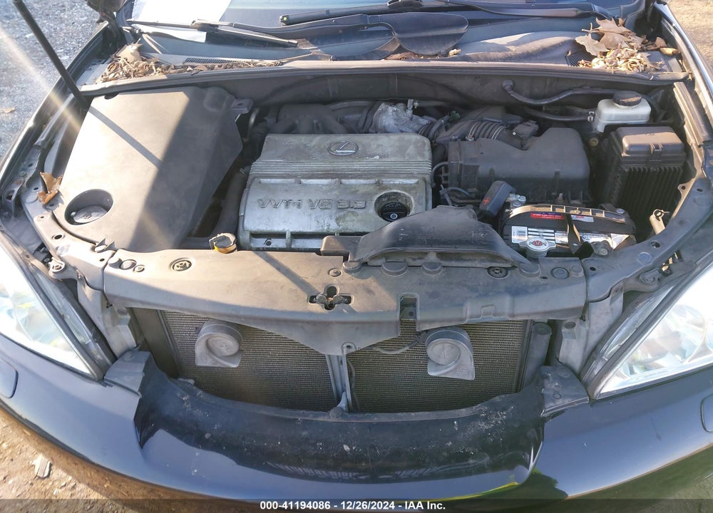2004 LEXUS RX 330 VIN: 2T2HA31U24C025184