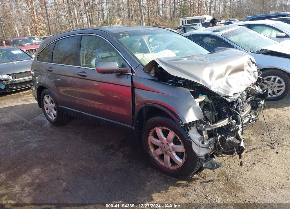 2009 HONDA CR-V EX-L VIN: 5J6RE48779L049462