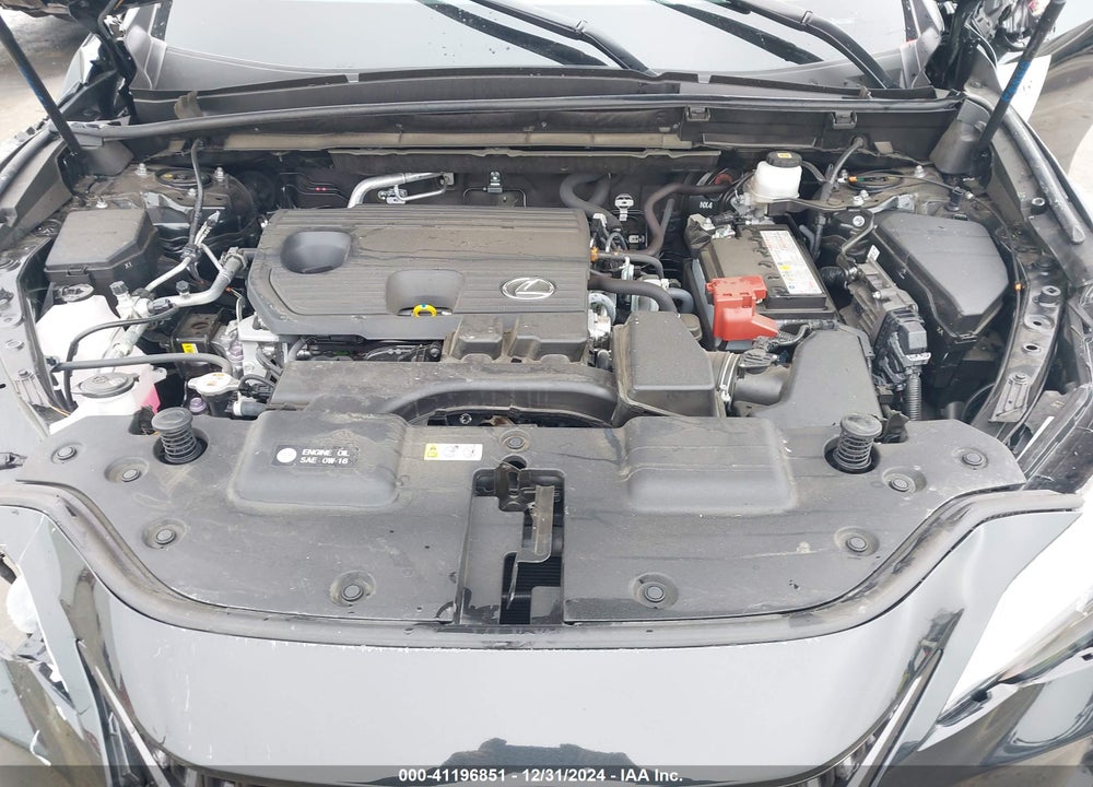 2024 LEXUS NX 250 VIN: JTJADCAZ4R5020935