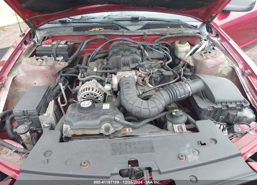 2006 FORD MUSTANG VIN: 1ZVFT80NX65265819