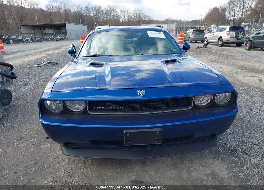 2010 DODGE CHALLENGER VIN: 2B3CJ4DV8AH319135