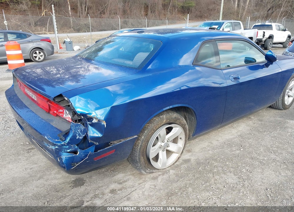 2010 DODGE CHALLENGER VIN: 2B3CJ4DV8AH319135