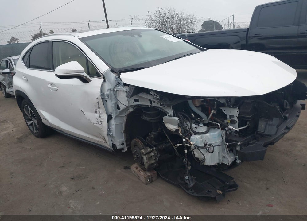 2019 LEXUS NX 300H VIN: JTJBJRBZ2K2105844