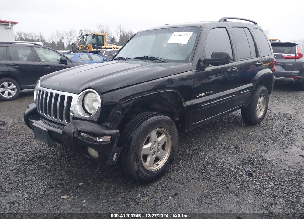 2002 JEEP LIBERTY LIMITED EDITION VIN: 1J8GL58KX2W198975