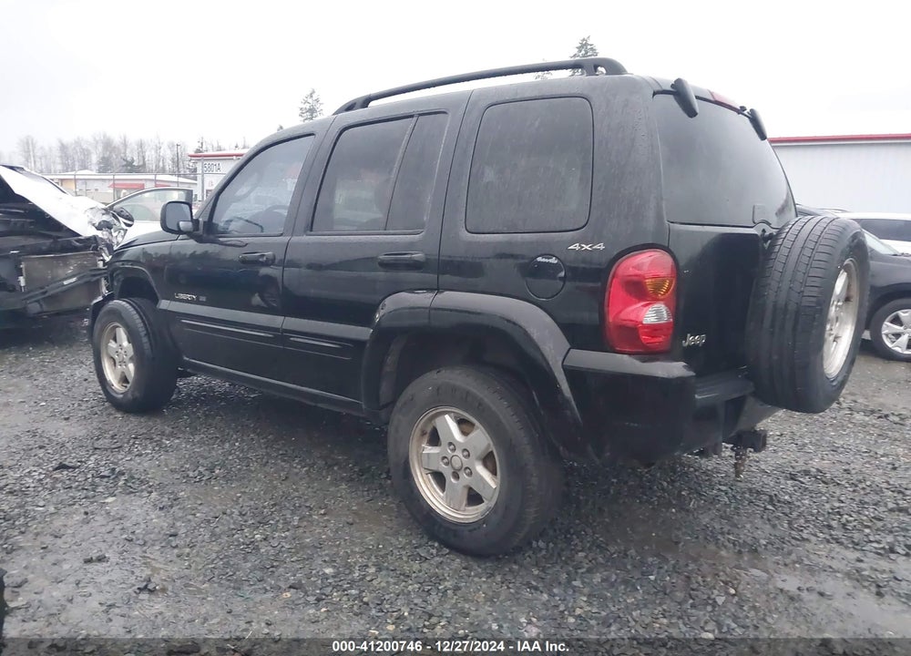 2002 JEEP LIBERTY LIMITED EDITION VIN: 1J8GL58KX2W198975