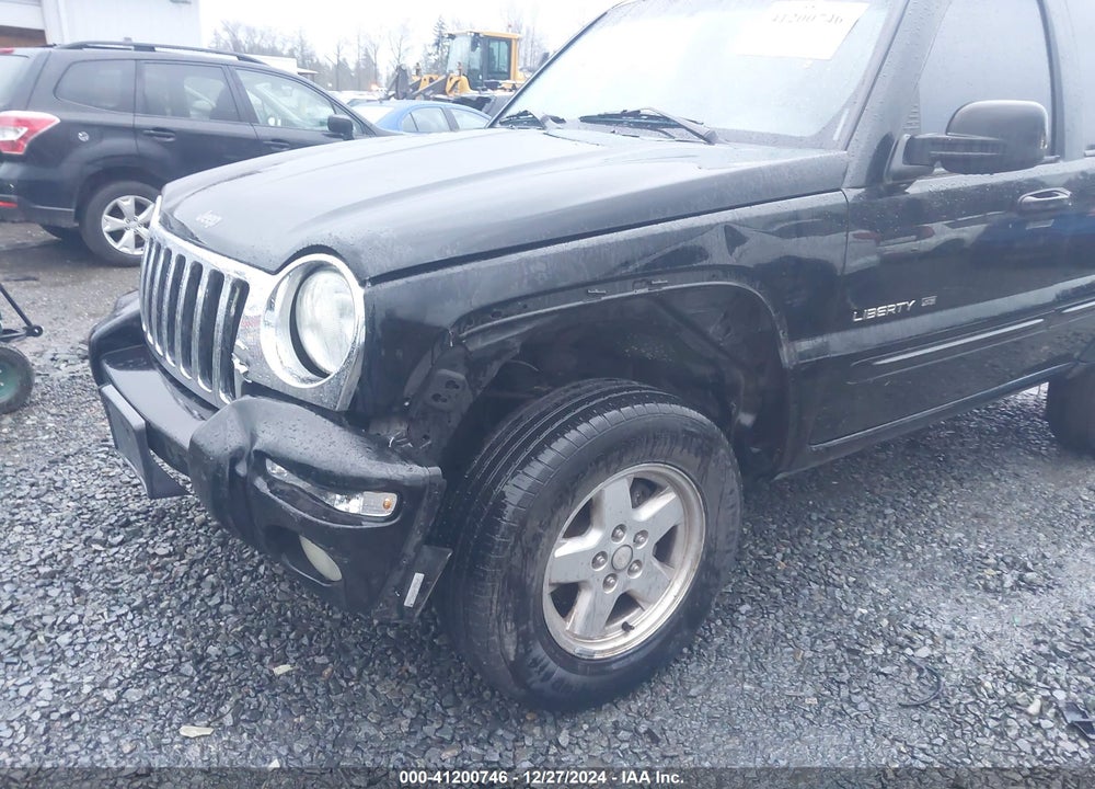 2002 JEEP LIBERTY LIMITED EDITION VIN: 1J8GL58KX2W198975