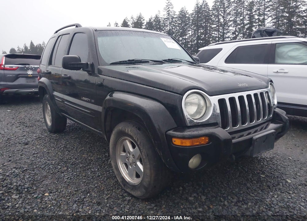 2002 JEEP LIBERTY LIMITED EDITION VIN: 1J8GL58KX2W198975