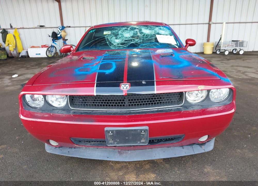 2010 DODGE CHALLENGER VIN: 2B3CJ4DV1AH134750
