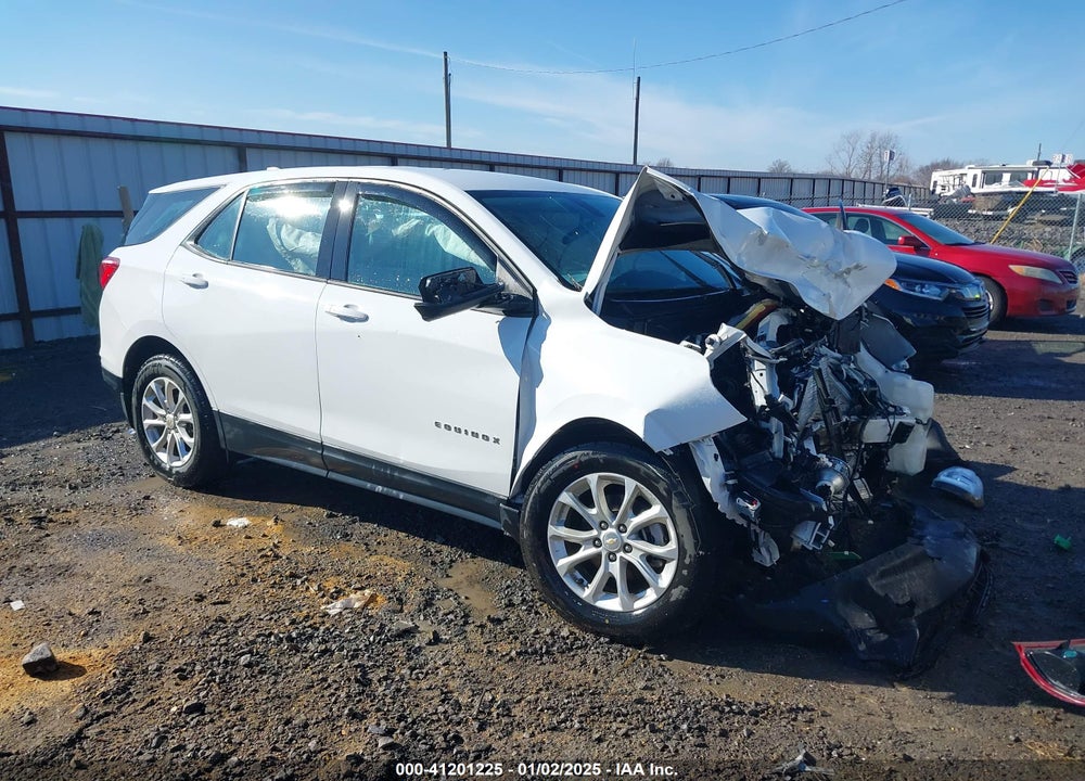 2019 CHEVROLET EQUINOX LS VIN: 2GNAXHEVXK6120991