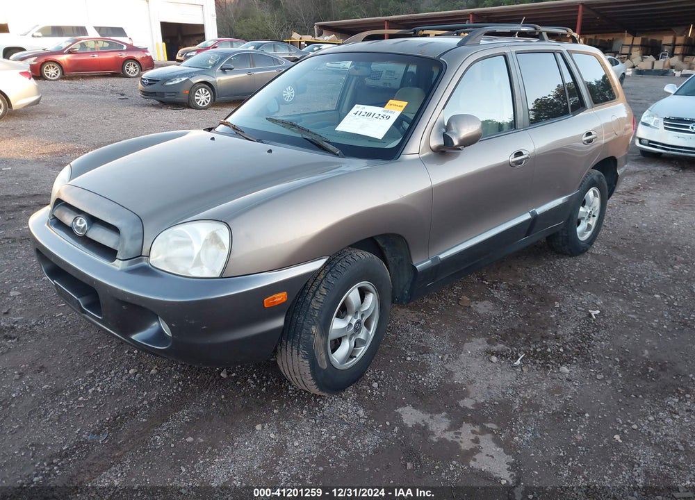 2006 HYUNDAI SANTA FE VIN: KM8SC13D76U046636