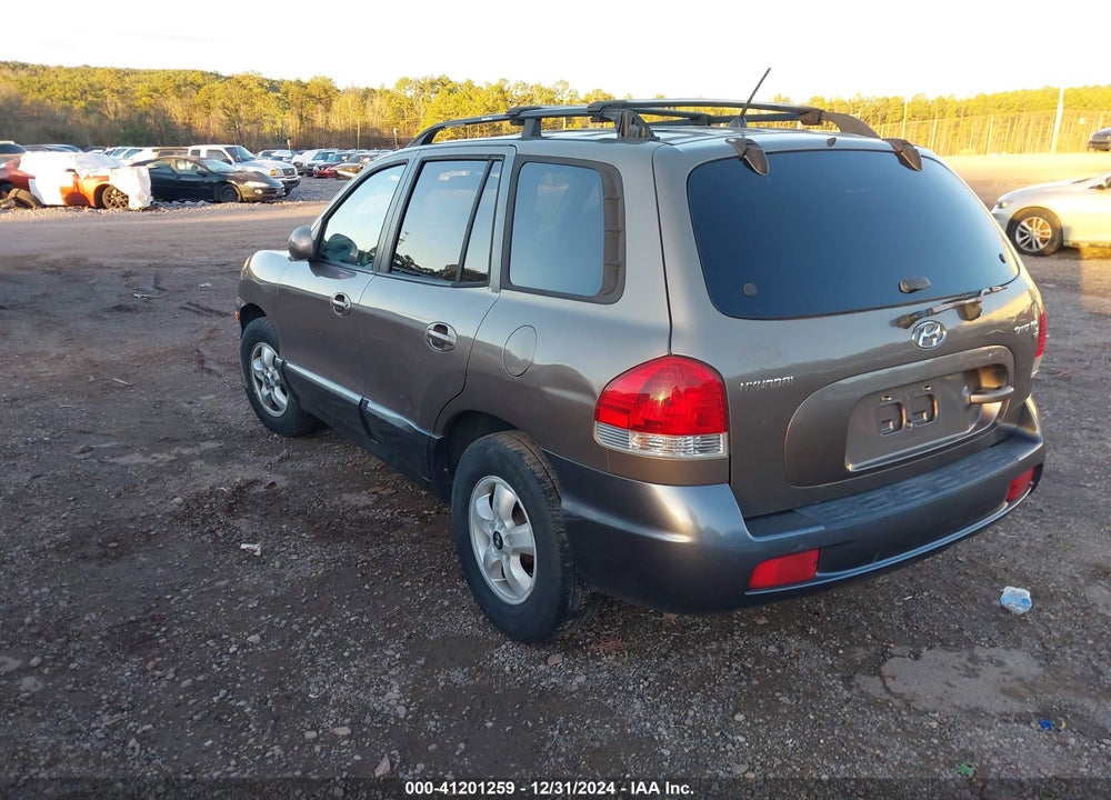 2006 HYUNDAI SANTA FE VIN: KM8SC13D76U046636