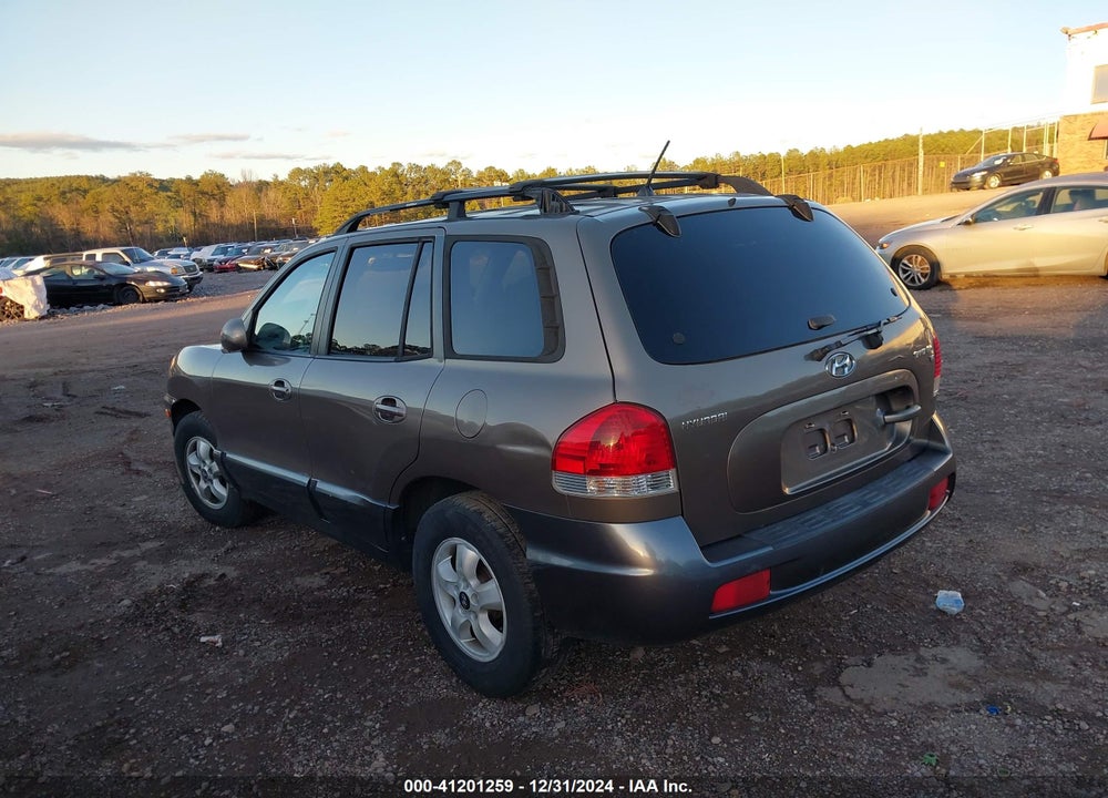 2006 HYUNDAI SANTA FE VIN: KM8SC13D76U046636