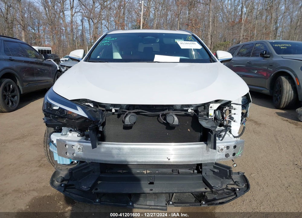2024 LEXUS NX 250 VIN: 2T2ADCAZ1RC006170
