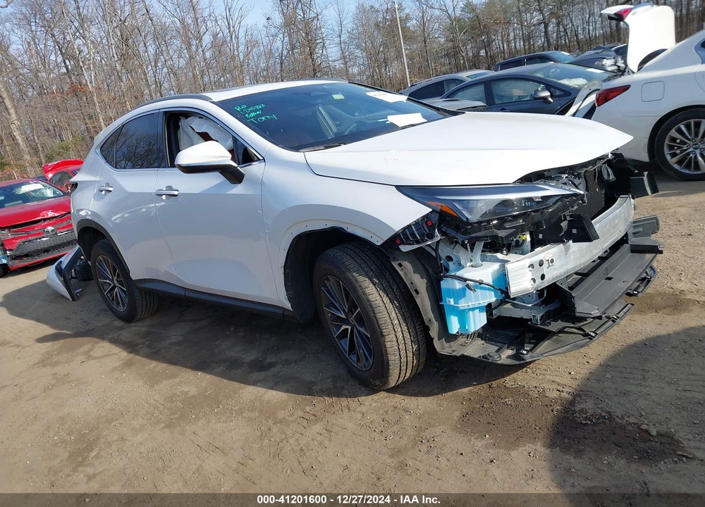 2024 LEXUS NX 250 VIN: 2T2ADCAZ1RC006170