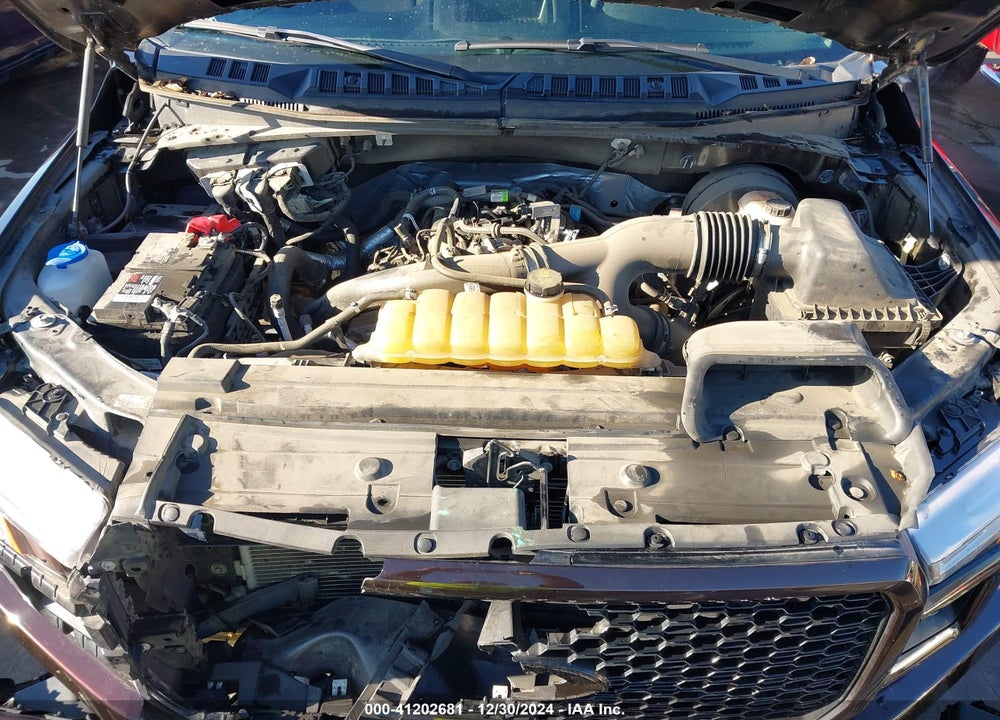 2019 FORD F-150 XL VIN: 1FTEW1CP9KKF26623