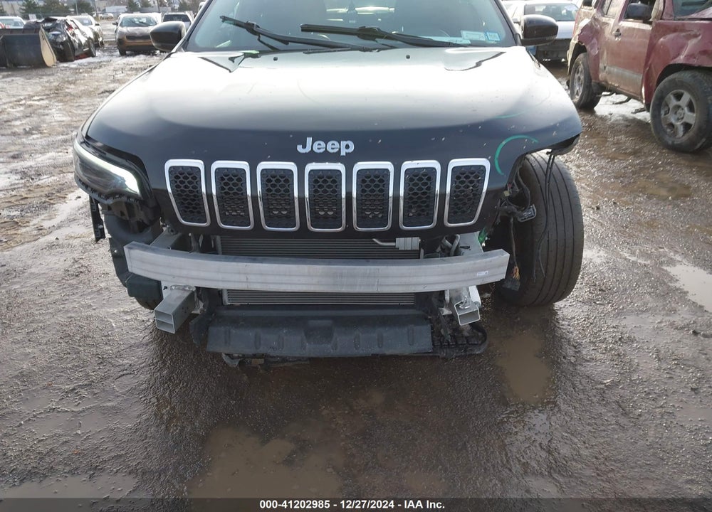 2019 JEEP CHEROKEE LIMITED 4X4 VIN: 1C4PJMDN1KD490100