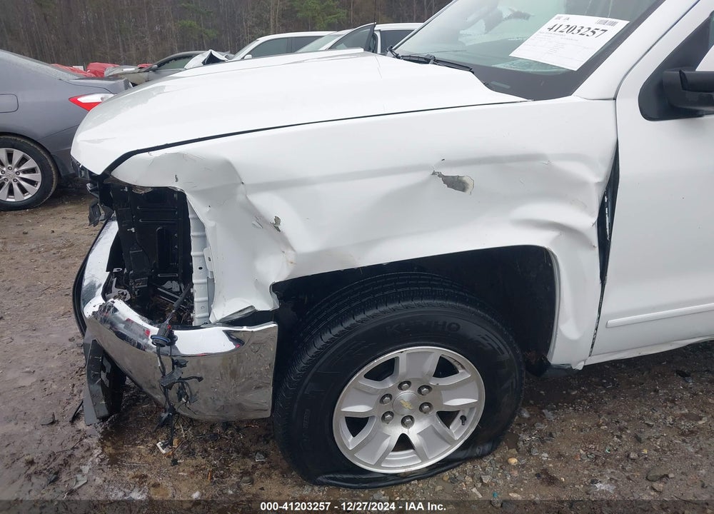 2019 CHEVROLET SILVERADO 1500 LD VIN: 2GCVKPEC6K1121392
