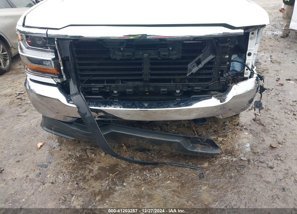 2019 CHEVROLET SILVERADO 1500 LD VIN: 2GCVKPEC6K1121392