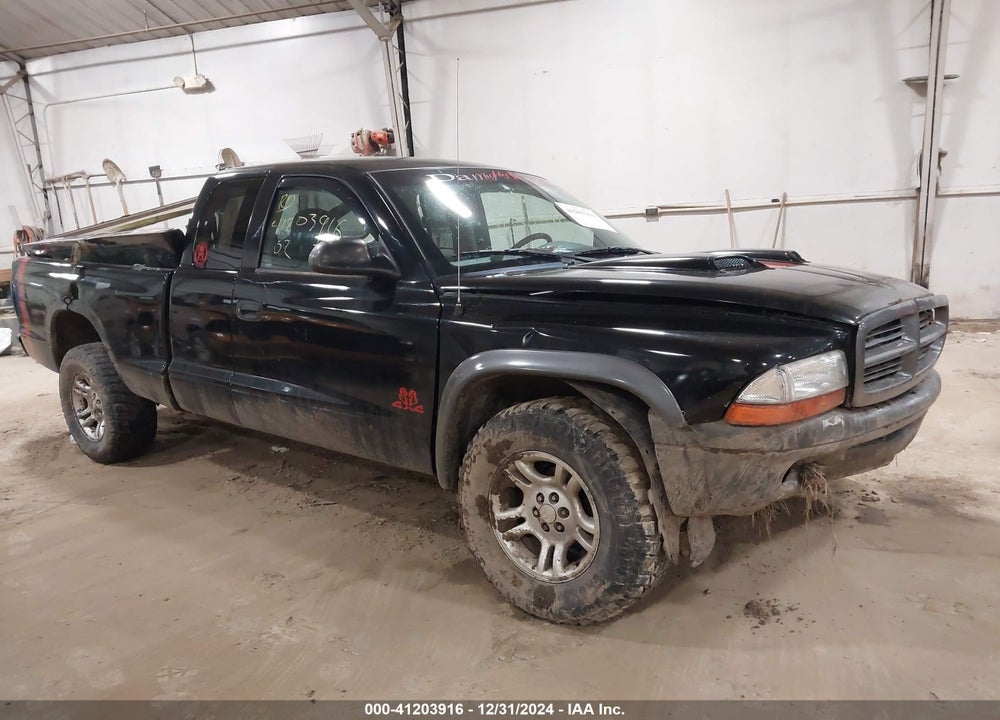 2002 DODGE DAKOTA VIN: 1B7GG12X82S717733