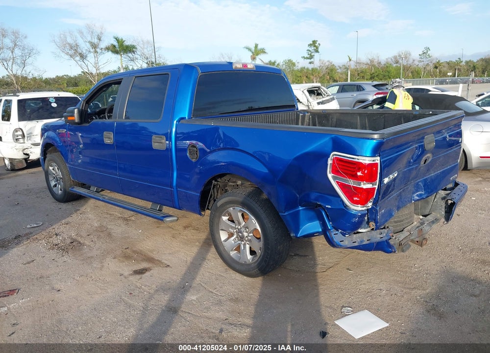 2011 FORD F-150 VIN: 1FTEW1CM9BFB21263