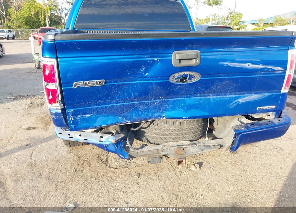 2011 FORD F-150 VIN: 1FTEW1CM9BFB21263