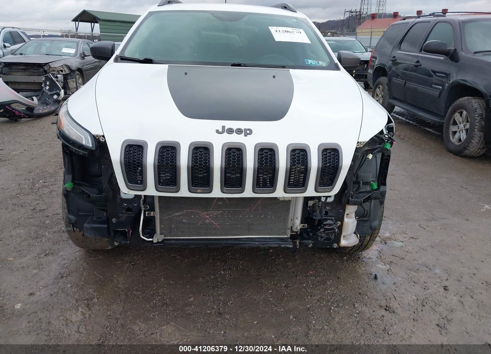 2017 JEEP CHEROKEE TRAILHAWK 4X4 VIN: 1C4PJMBS0HW557162