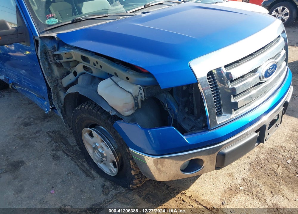 2011 FORD F-150 VIN: 1FTFW1CF3BFB61232