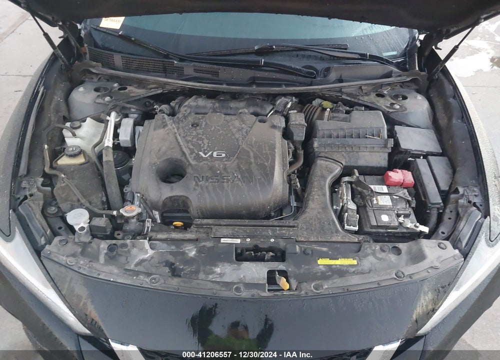 2019 NISSAN MAXIMA VIN: 1N4AA6AV5KC382631