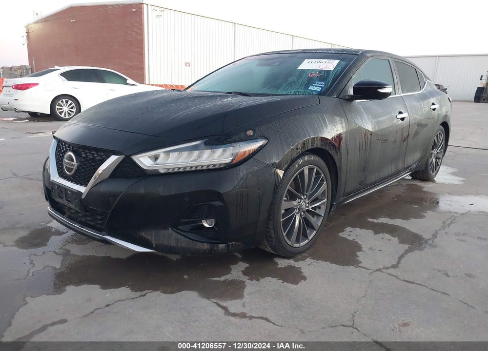 2019 NISSAN MAXIMA VIN: 1N4AA6AV5KC382631