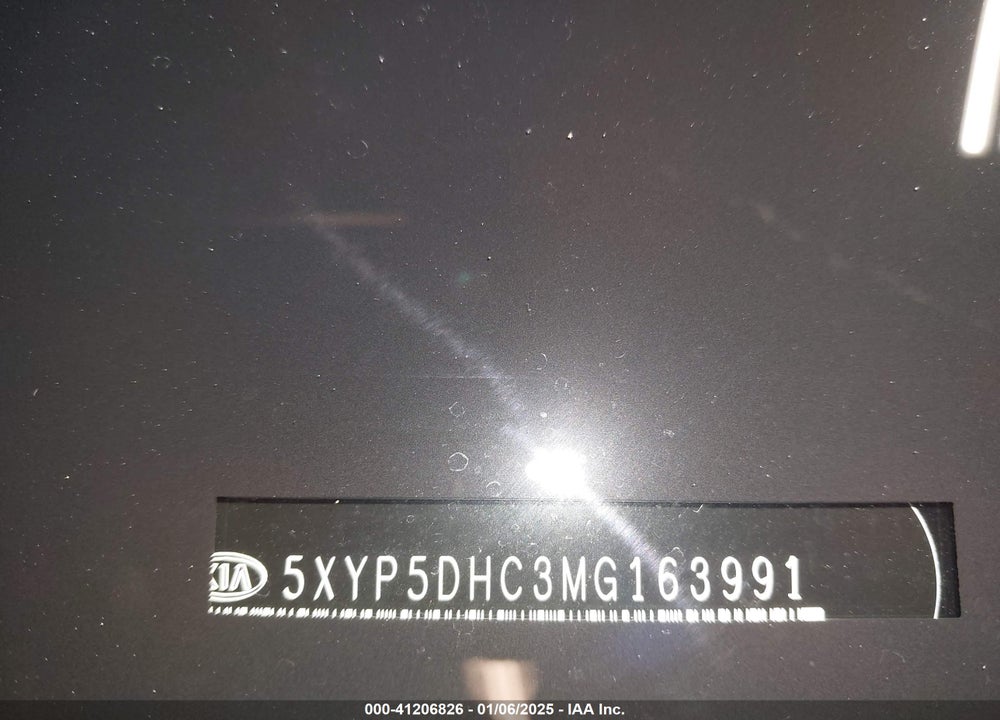 2021 KIA TELLURIDE SX VIN: 5XYP5DHC3MG163991