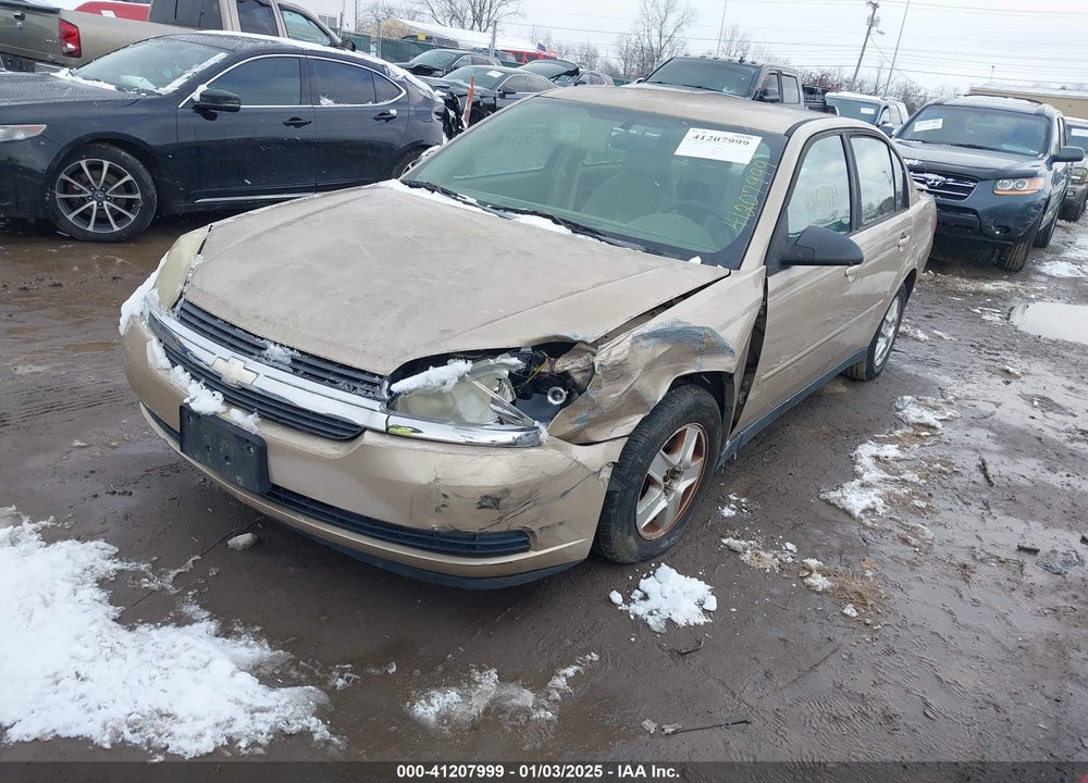 2004 CHEVROLET MALIBU LS VIN: 1G1ZT54844F113053