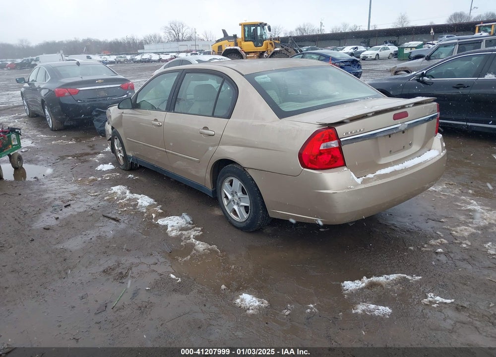2004 CHEVROLET MALIBU LS VIN: 1G1ZT54844F113053
