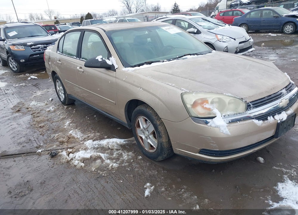 2004 CHEVROLET MALIBU LS VIN: 1G1ZT54844F113053