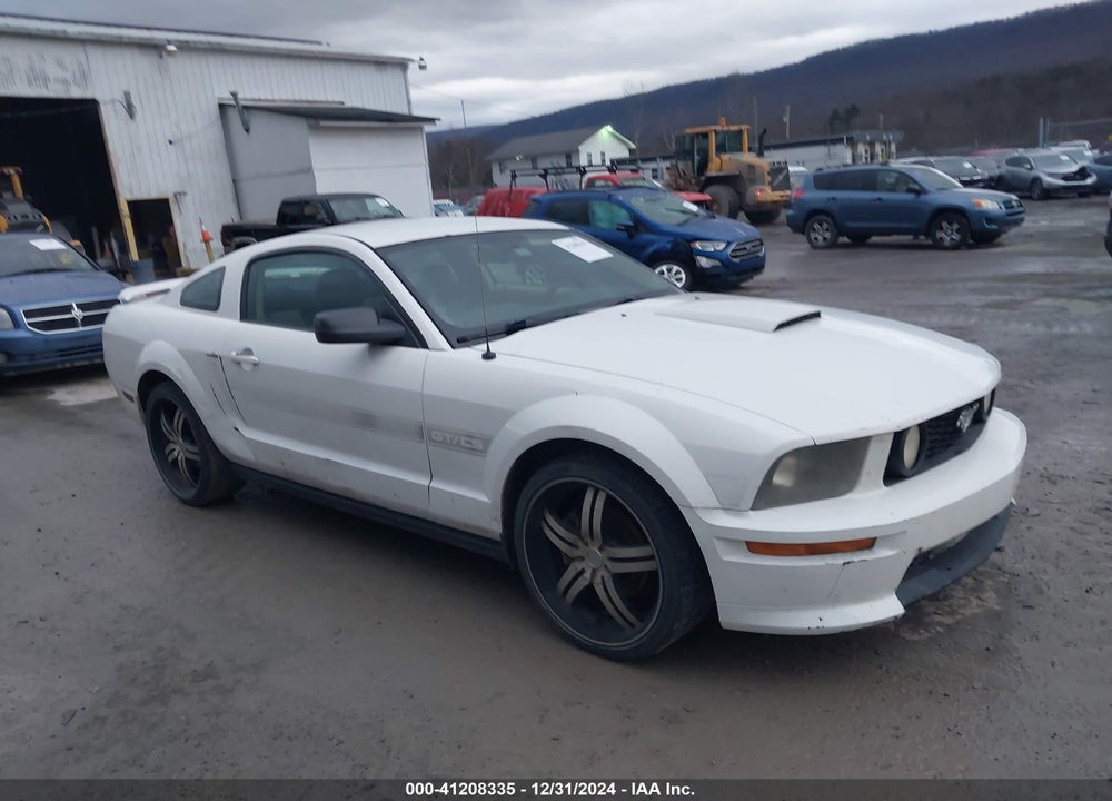 2007 FORD MUSTANG GT DELUXE/GT PREMIUM VIN: 1ZVFT82H675224631